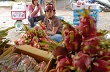 Xuất khẩu sang Trung Quốc: Nhiều hàng nông sản gặp khó 